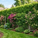 découvrez des astuces efficaces pour dissimuler un mur extérieur disgracieux du voisin et embellir votre jardin facilement.